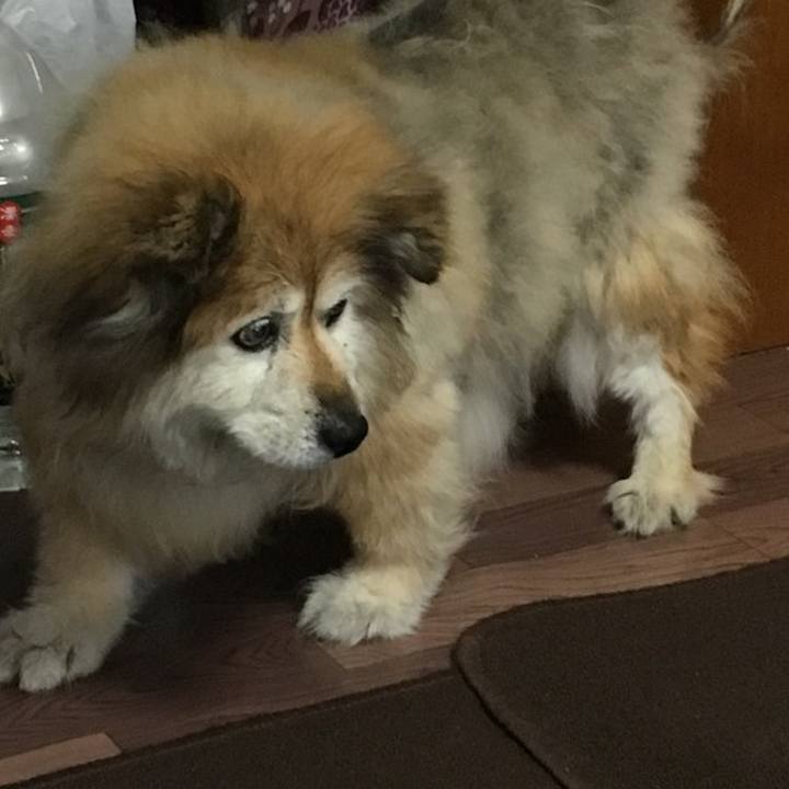 28cabe5d 192e 4634 9278 0539489f6265 1601299035476