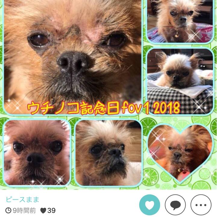 28cad5fb 7faf 42d5 924f 13df140ebc93 1541076324942