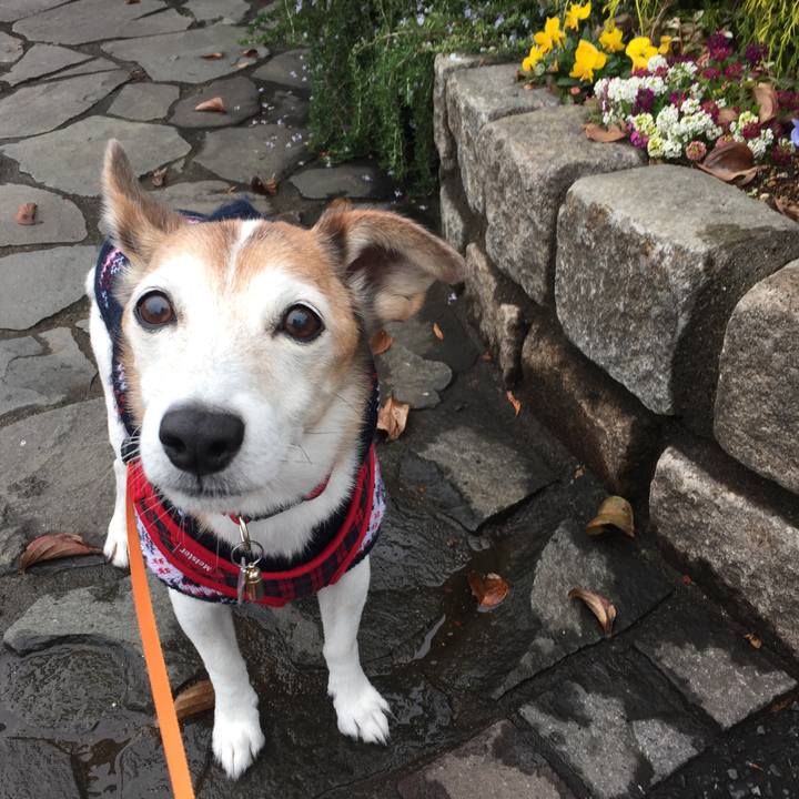 28cae31d 4f8e 45db a31e 07d577b31f93 1520293348123