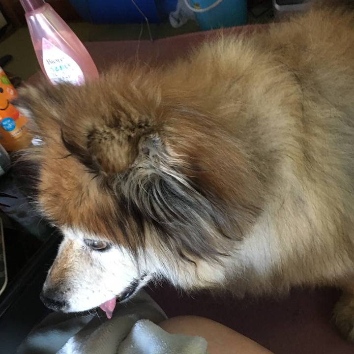 28cb05ac b503 40fd b465 fe6641b97772 1615646026119