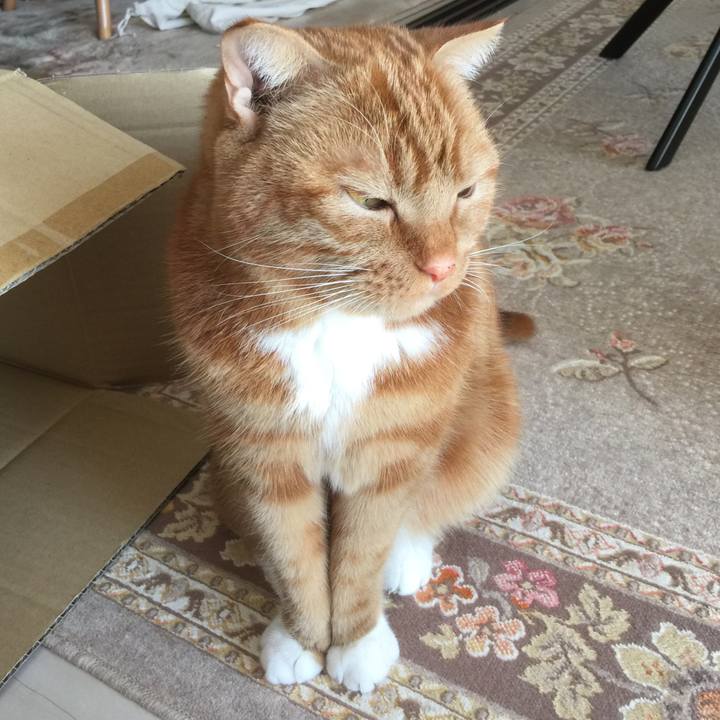 28cb1b92 3d39 432c 9f33 237d24497221 1552094329780