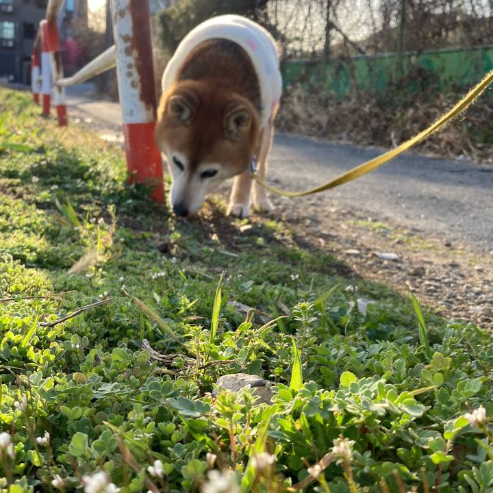 28cc083d e52e 4b3b 9c5d f42a5029a822 1772362384173