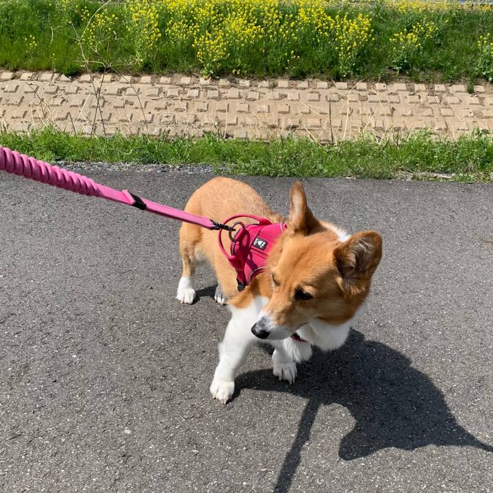 28cc1e99 436c 4c29 a326 b07310ebad20 1712027003439