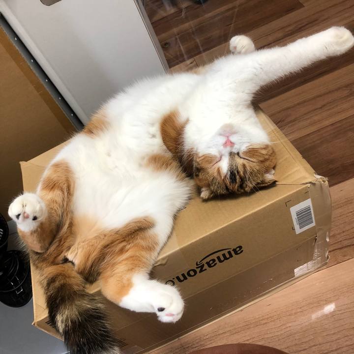 28ccbca6 3637 4845 a436 ea6567fed02f 1530972987326