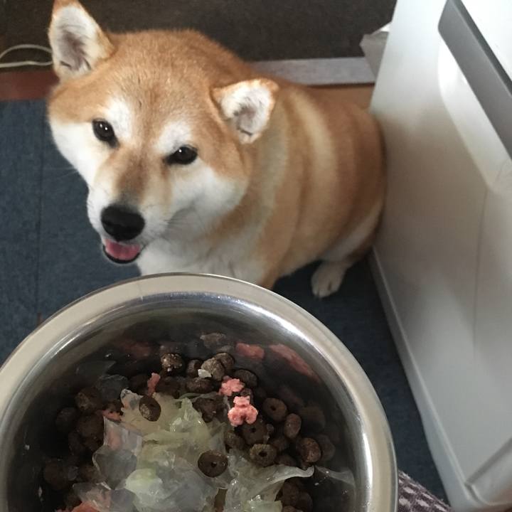 28ccdad4 7b7b 408a babd 570f59ee89a6 1567470570147