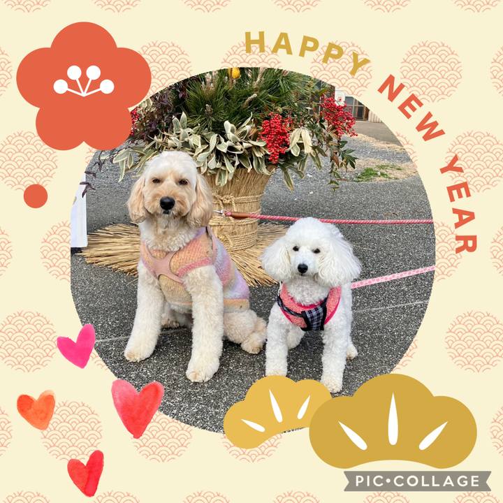 28cd0731 c088 4533 9305 0da8023e5ffe 1767348372940