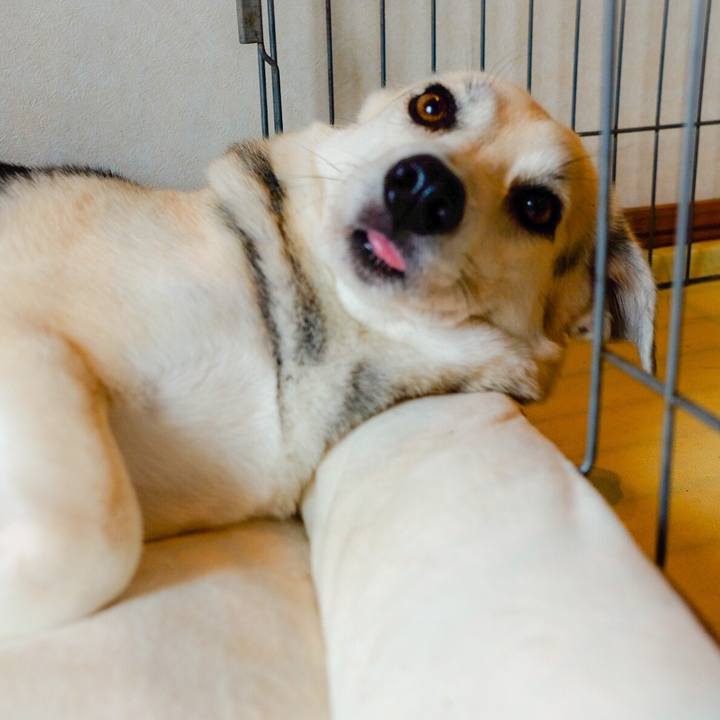 28cd095d 6d50 4e72 8468 bf1769bbdefb 1546140774465