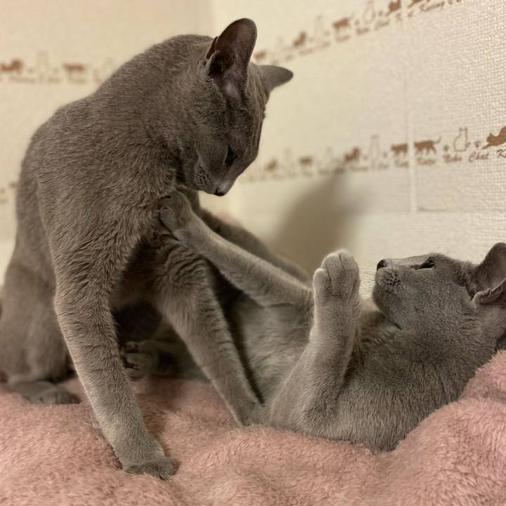 28cd31fe 4de5 4d02 8042 98bd638a7042 1652058797193