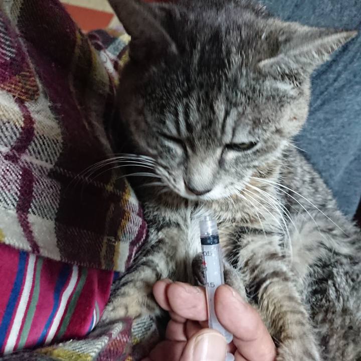 28cd3419 ce7c 4719 817e 9ad89f5cbd2b 1579384479953