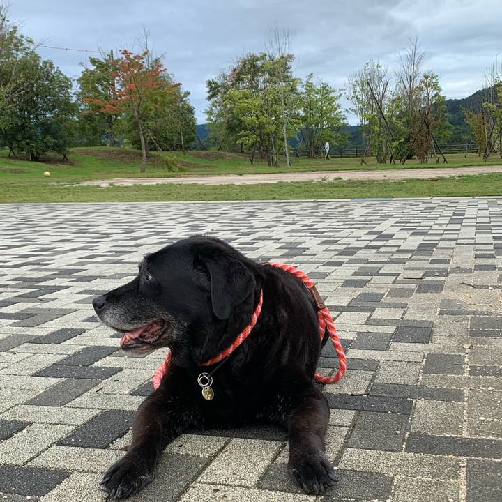 28cd640e 906b 4837 b4a4 5616fe589162 1628980396986