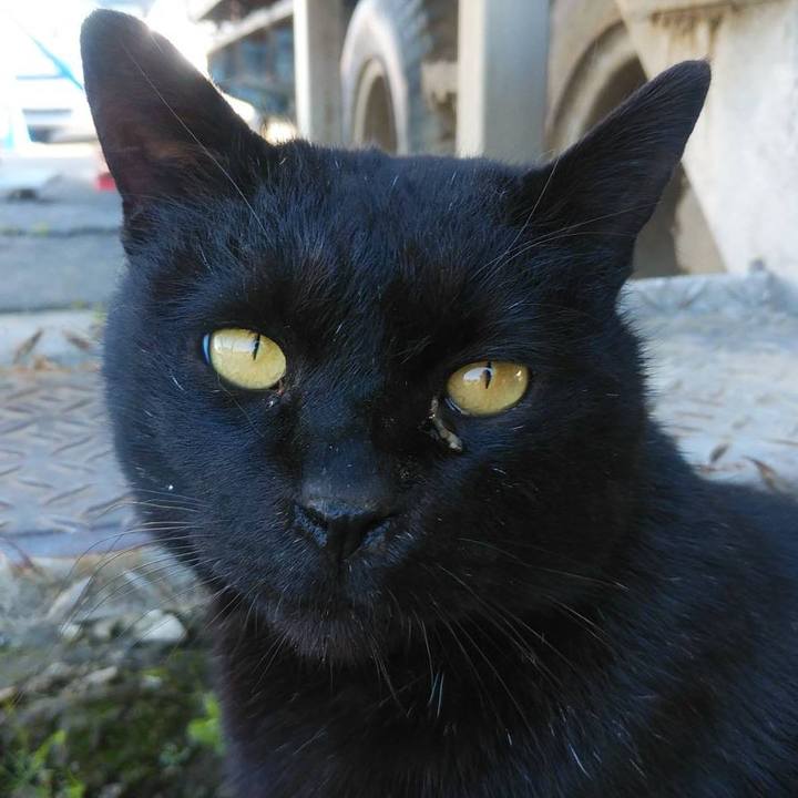 28cd8381 197a 41ac a23a 8d2f12a14c5b 1584407331211