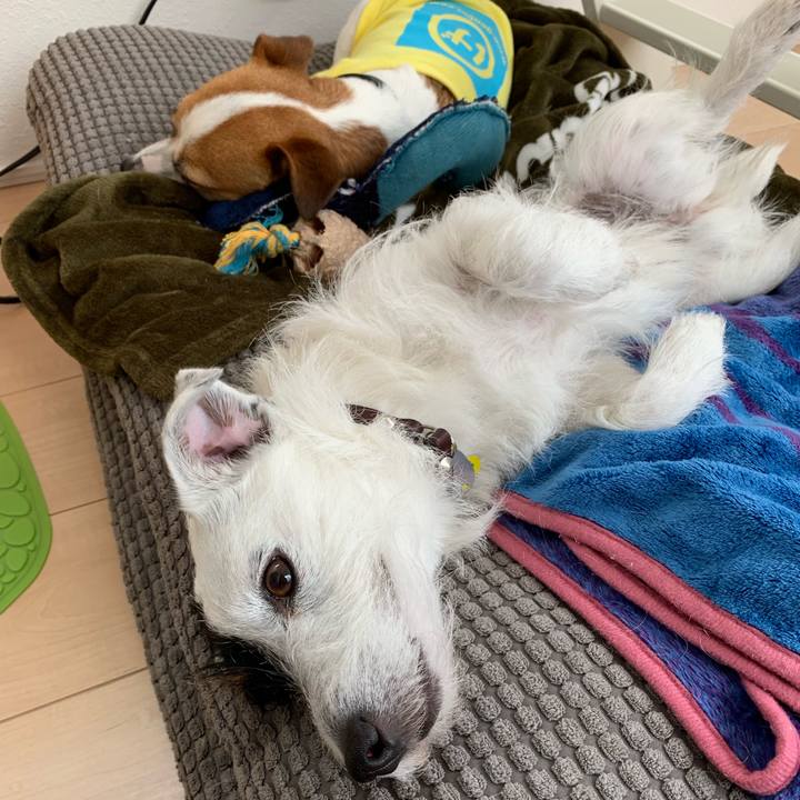 28cd9e78 6c6a 4b4f 8ec7 857f862462f7 1556082839545