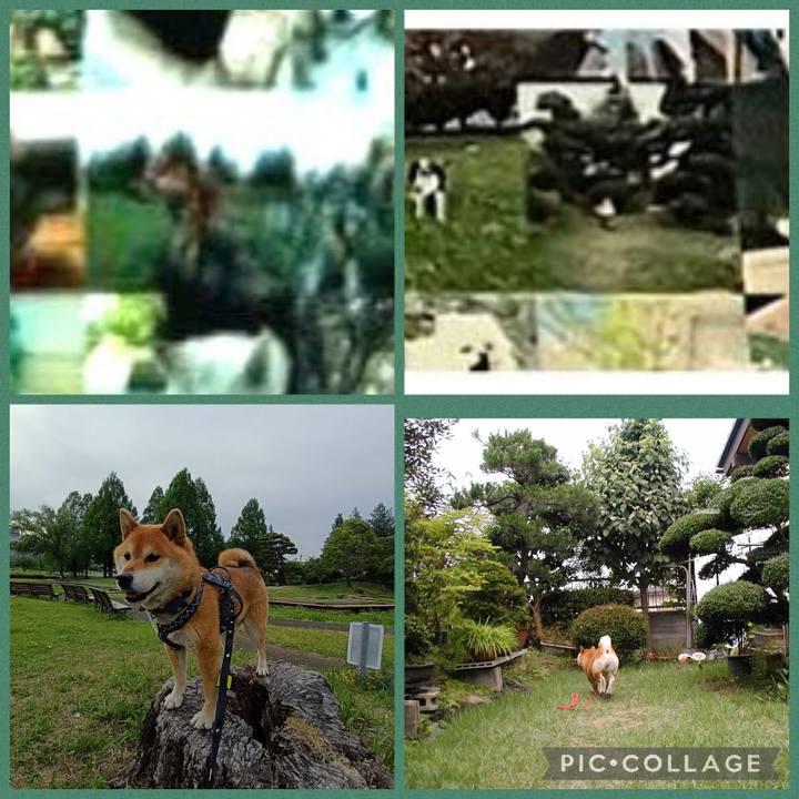 28cda8ce 769d 4885 978a 545336568144 1781186698933