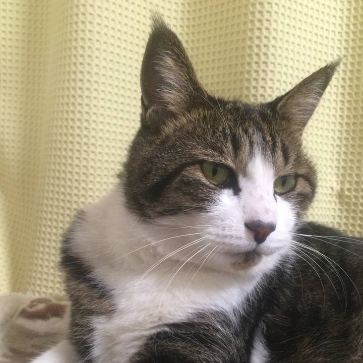 28cdef80 0957 4f0b 8a3d 1ac3a27927d6 1510934084038