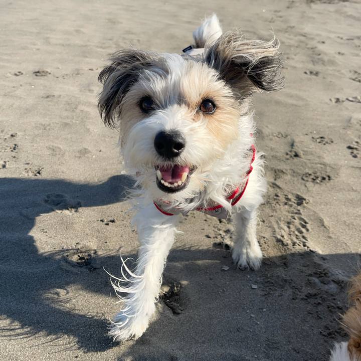 28ce0397 f92b 4730 93fe bce3ba95cfb4 1768299092221