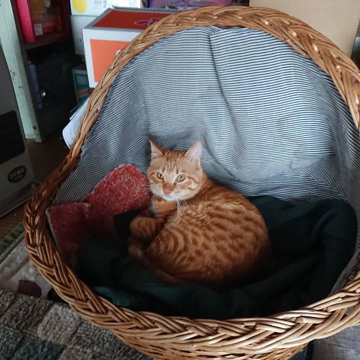 28ce0c60 64c2 43c6 a4ca abd6a310b722 1642996739480