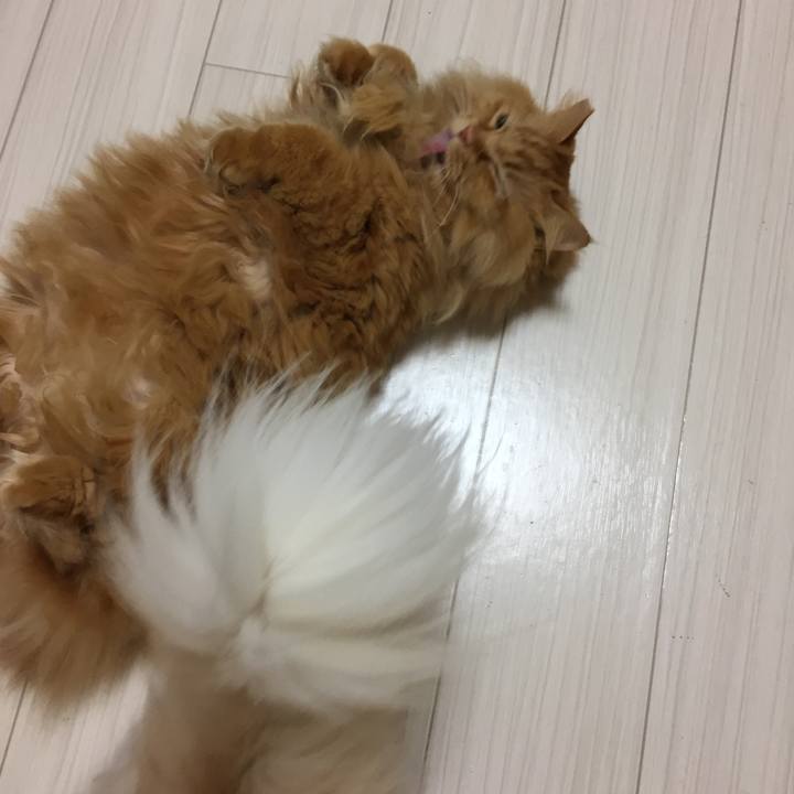 28ce699f ce13 4e34 9ea0 403b155608a6 1513807179432