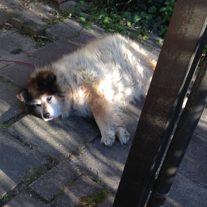 28ce7ac1 a201 4d32 8d0c 0c57e948ed31 1555630071166