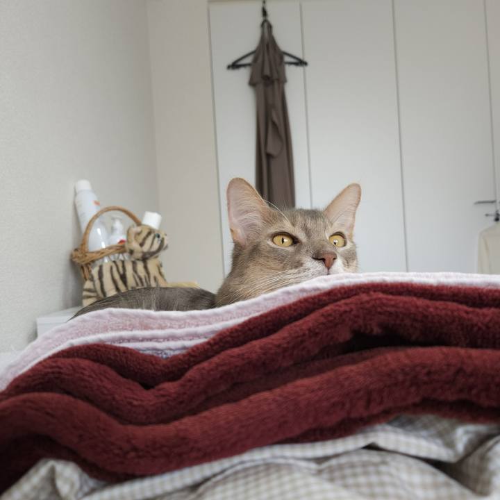 28ceb0a6 77a5 4464 b12a 759ee400bd2d 1699579010957