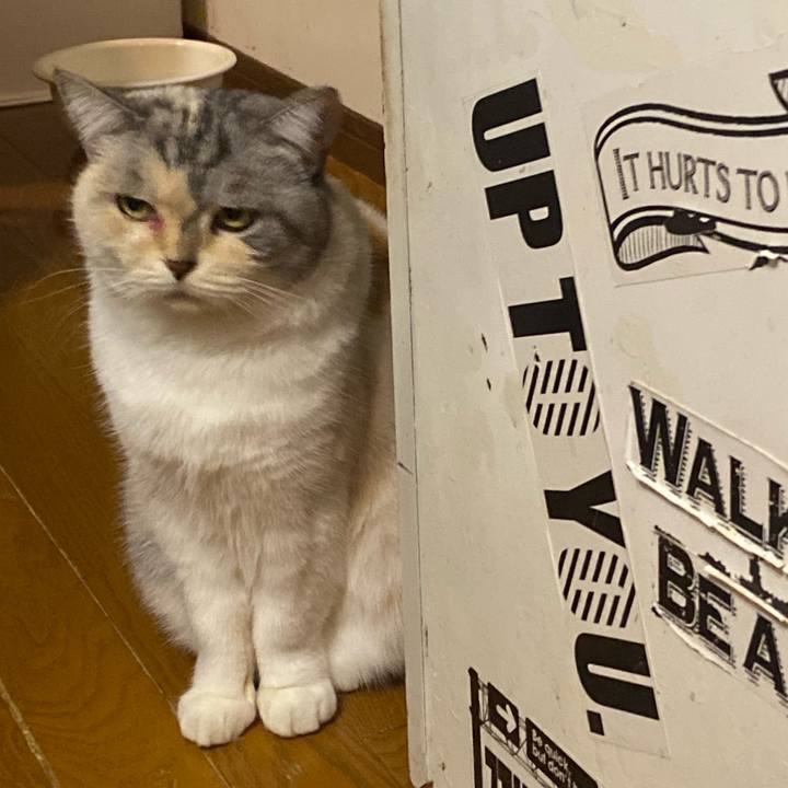 28ceb15e 23ab 4bf7 a8ac 9e1244667500 1669805184670