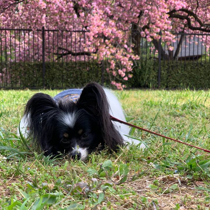 28ceda48 d686 402b a5c4 8ab727900514 1555887546572