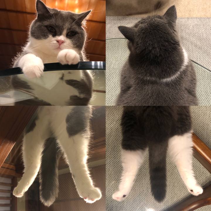 28cee8d9 c33c 4331 8e11 565508eeca40 1564049141352