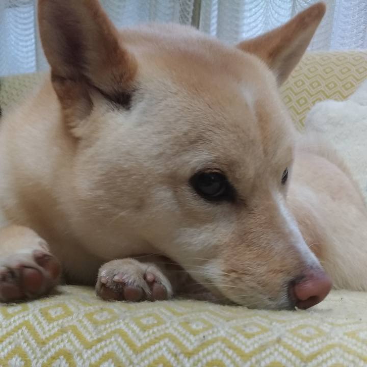 28cef2e2 247b 4f95 8c2d 20ee68dbe844 1551308126913