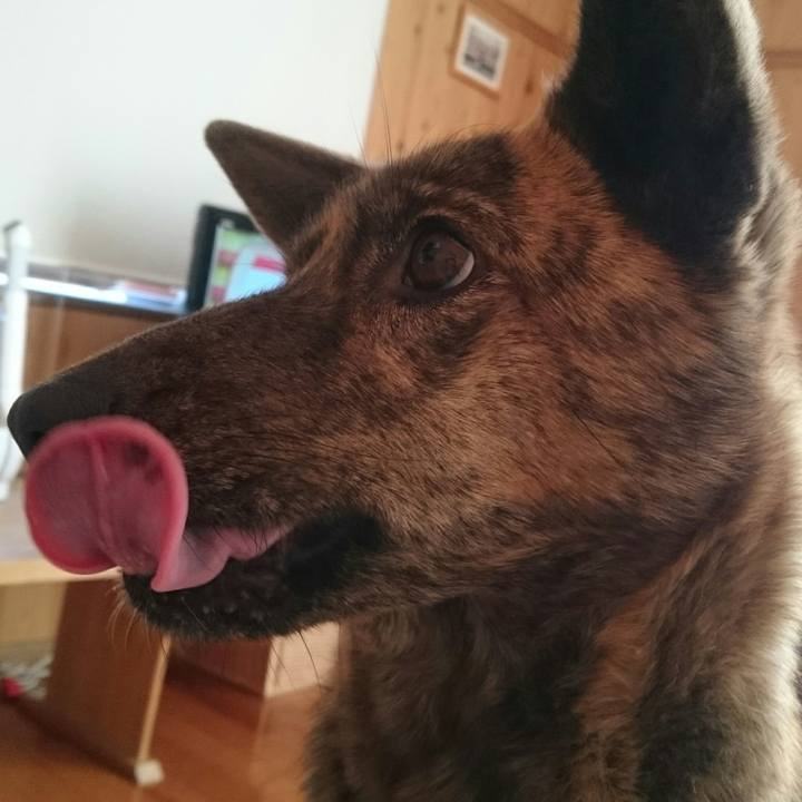 28cef89f bca7 4a56 8f1f 90f61a64e278 1515907898052