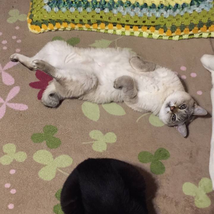 28cf4de3 5aeb 4685 9775 8b1d2cea428c 1551350472167