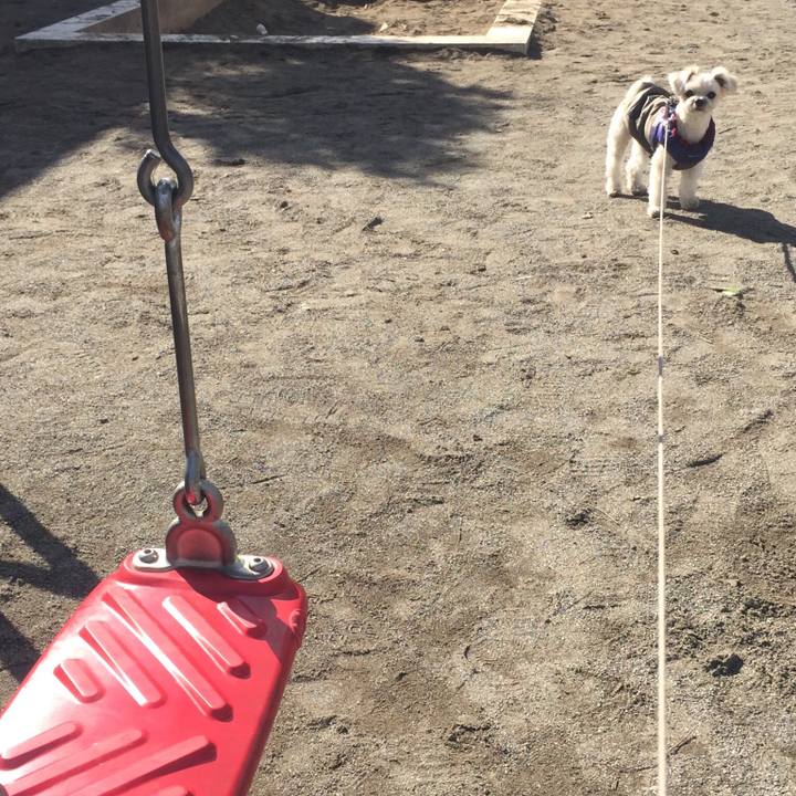 28cf5247 7311 49c8 980e 44f0b390bc9b 1517830149512