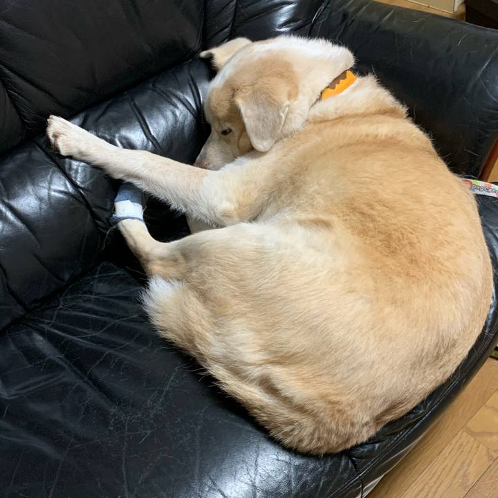 28cf7159 a6cc 45b1 b661 951770d01c09 1606057779024