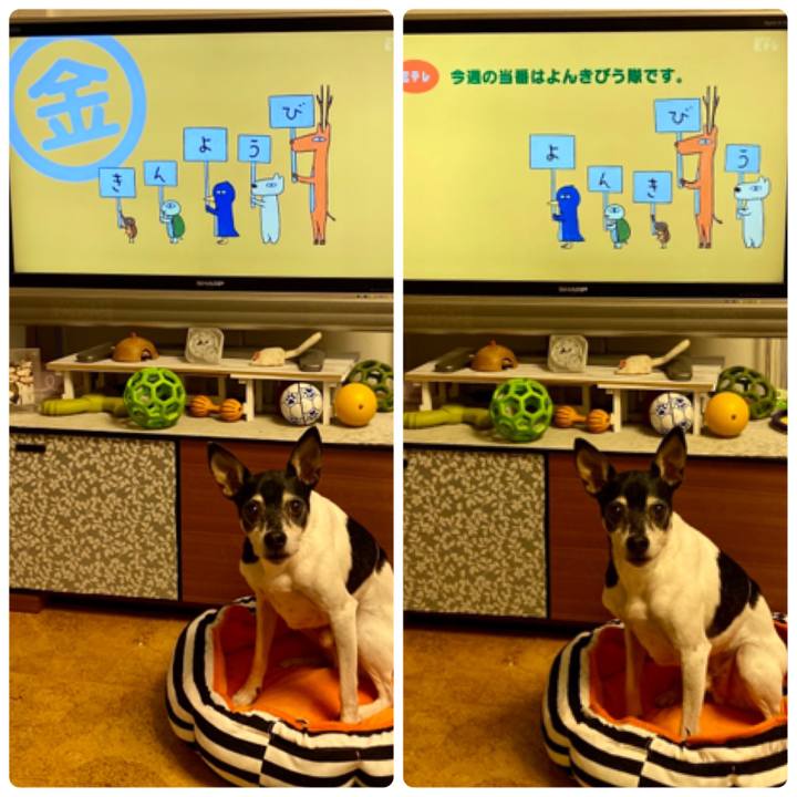 28cf8435 2141 4338 b5ca 30e4040723ea 1579212288529