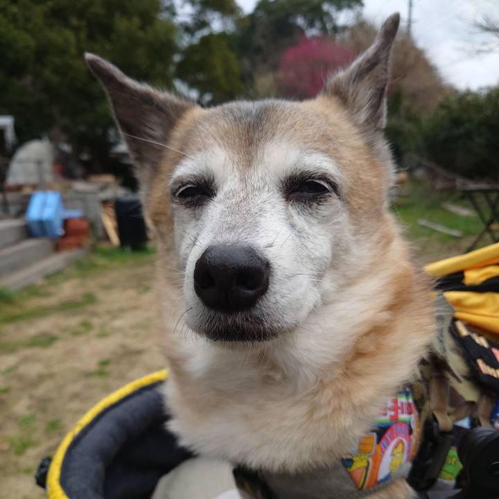 28cf8eb3 830a 411f bd9d bf5301fba92b 1677731917154