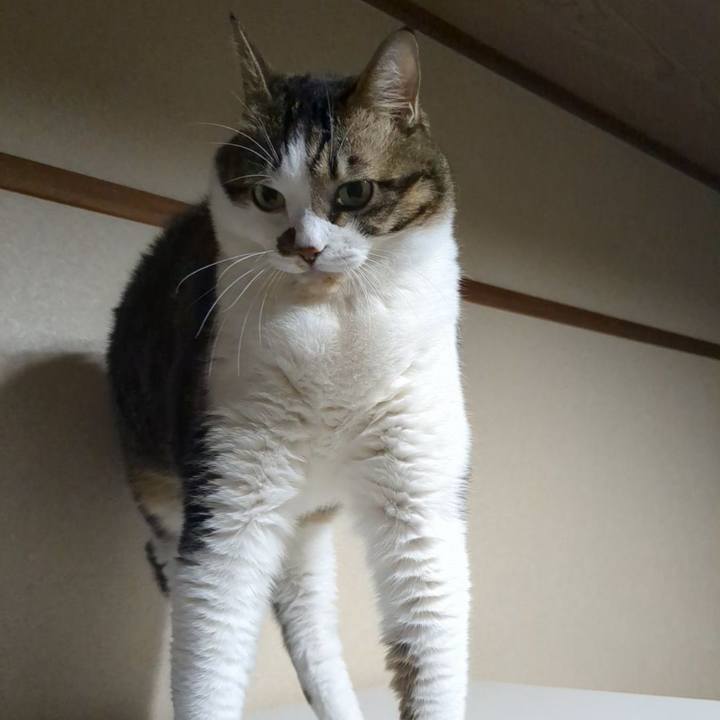 28cf9c8e 5c79 47a9 a632 08889c3a7288 1731411281913