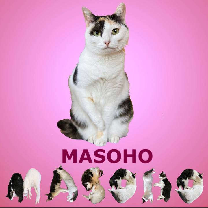 28cfa72e 9e07 4e71 ae0e acf64edfab4c 1668939344980