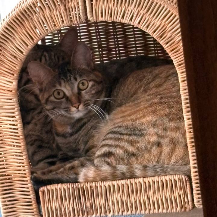 28cff195 662c 41f2 b93d 707f60434853 1760310619026