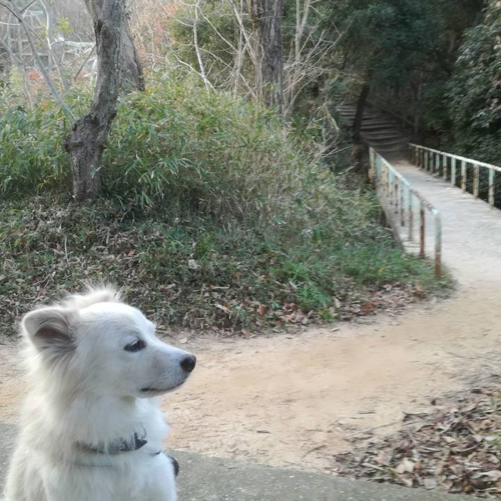 28d005a2 5b32 45c6 b4bb 214909531b7a 1513324484320