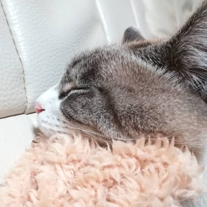 28d00965 3ab6 4d03 b956 e957aec57880 1578059854991