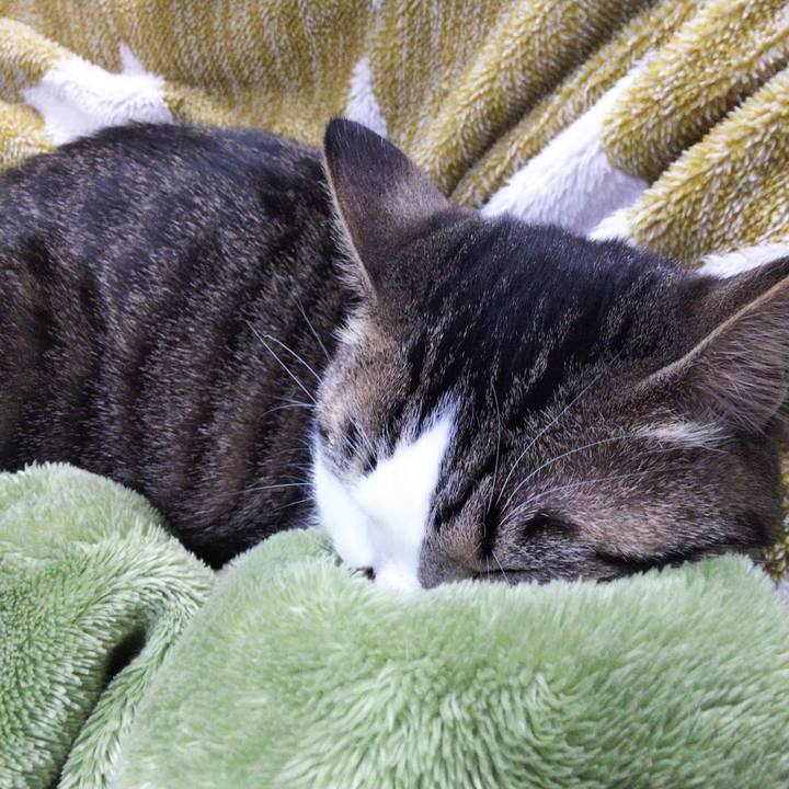 28d0213c b8ad 4570 92a9 caadc876cf12 1648118524060