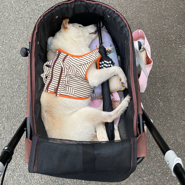 28d04796 a6b7 46d5 afe5 f9c569b03783 1656319500859