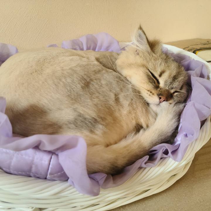 28d05a3e 7a51 4229 a46e 75f8899097d7 1624264644773