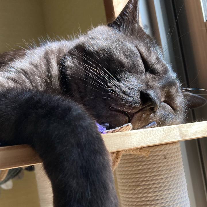 28d06fe0 0dec 415b 8cf2 cc8bee25c089 1707715110585