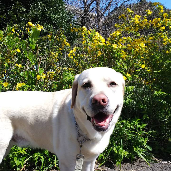 28d07f90 938a 4073 92d6 569e2924e349 1554354154643