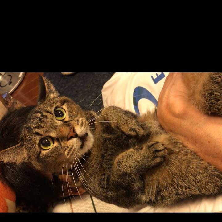 28d09e95 4892 4558 95cf 0dafb2994adb 1535299658894