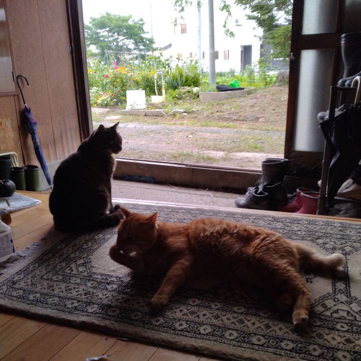 28d09ea0 9f55 4632 97f1 e78adeb1dd6e 1720944093631