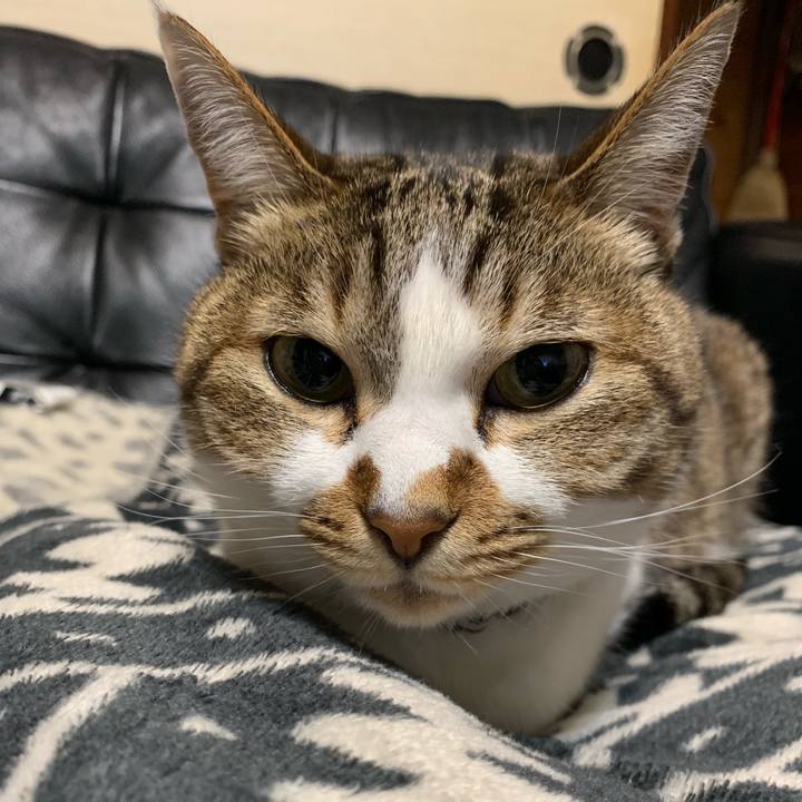 28d0d993 98ac 4b6d a7b7 59b311c210c6 1585306400476