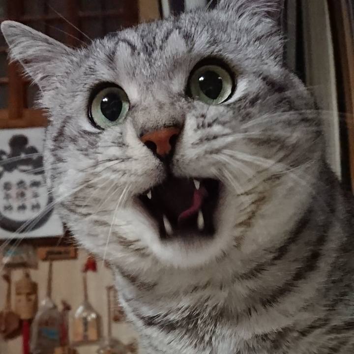 28d0f2e8 e168 46a8 8534 df6df7b1641e 1520517821713