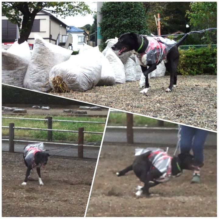 28d13448 921b 4c65 9b4b 7b514c767ce6 1634430603462