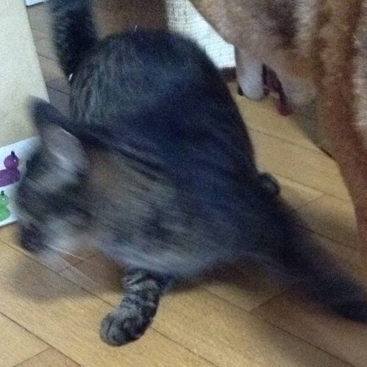 28d14249 415e 4fd6 995e 626d25ba9d4a 1549012255823