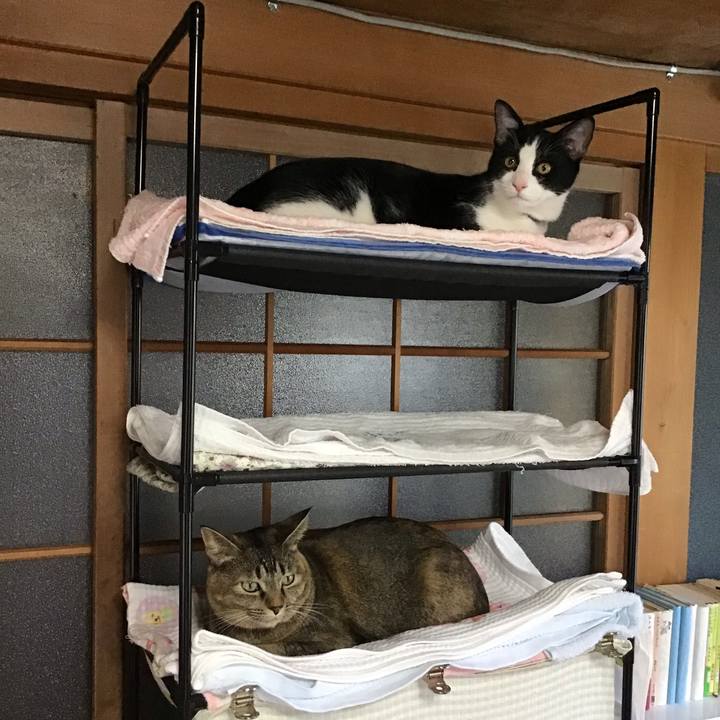 28d16f4b 3488 4588 9d1d 89ae66fb41be 1636012611955